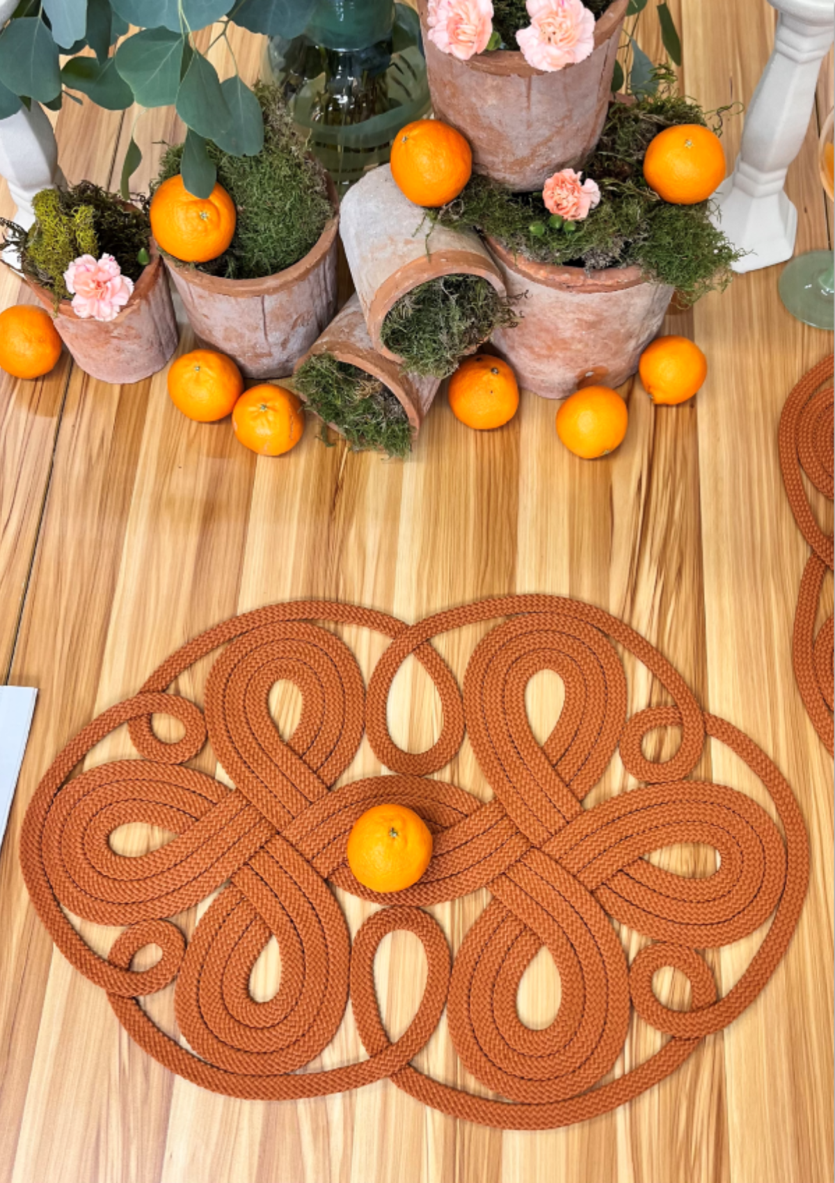 Rope One Placemat (set of 2)